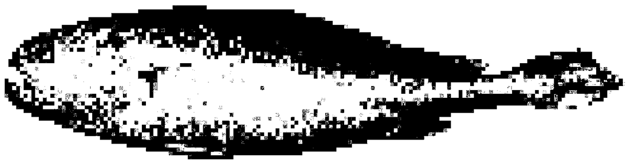 Aquatic product classification method and system based on machine vision