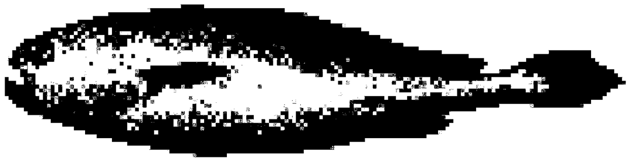 Aquatic product classification method and system based on machine vision