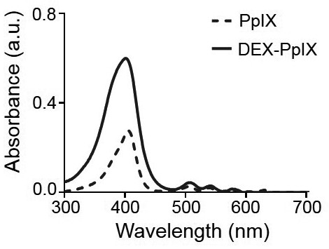 Preparation and application of a dextran-protoporphyrin prodrug nanomicelle