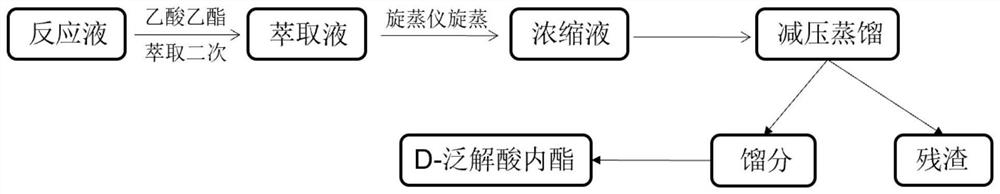 Saccharomyces sp. HF-21 and method for preparing D-pantoic acid lactone through biphasic catalysis of Saccharomyces sp. HF-21