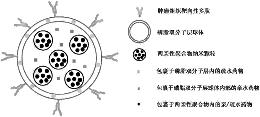 Targeting hybrid nano-system, preparation method thereof and application