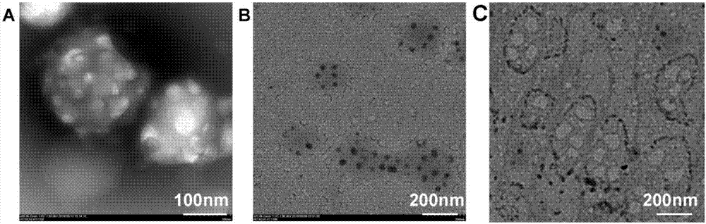 Targeting hybrid nano-system, preparation method thereof and application