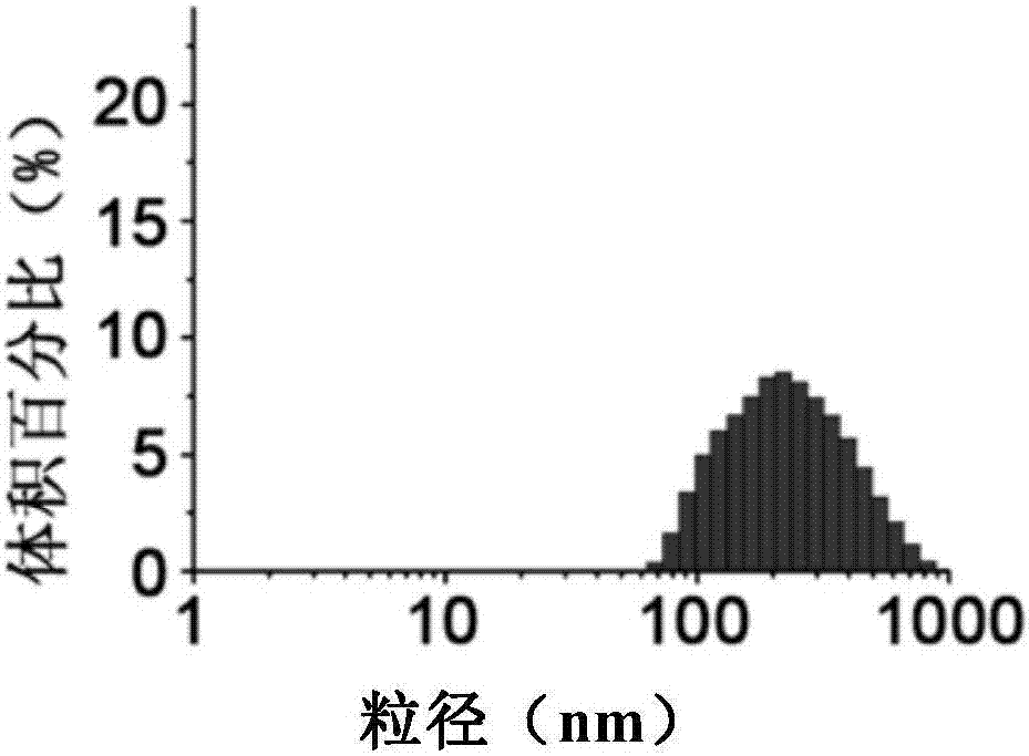 Targeting hybrid nano-system, preparation method thereof and application