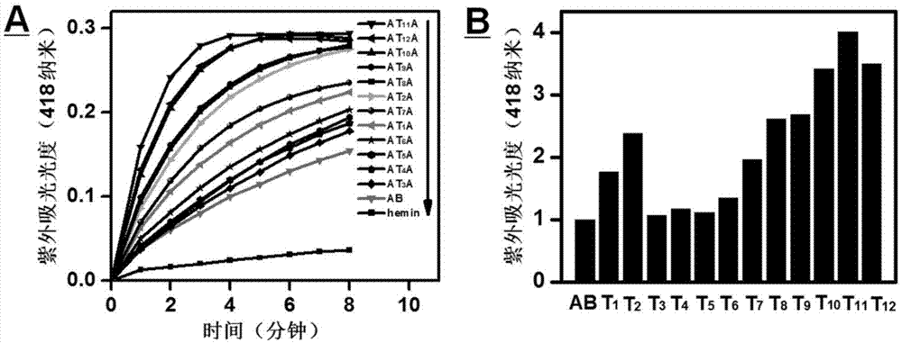 Method for controlling and improving DNAzyme catalytic activity