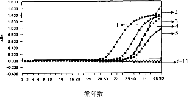 Primer for detecting peach-derived component in sample, method and kit