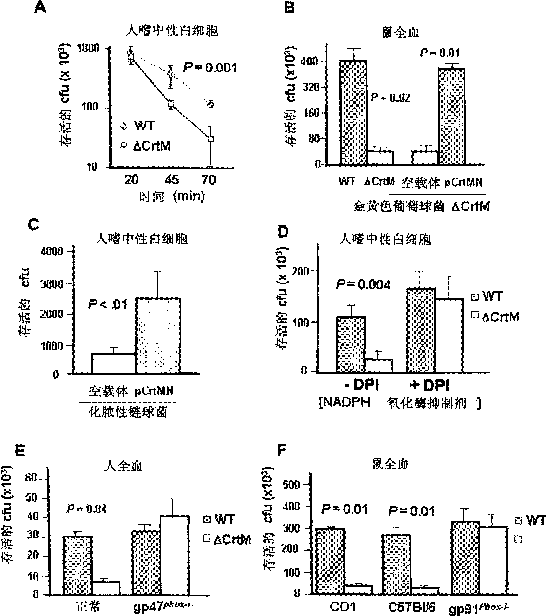 Compound for antimicrobial therapy for bacterial infections and its pharmaceutical uses