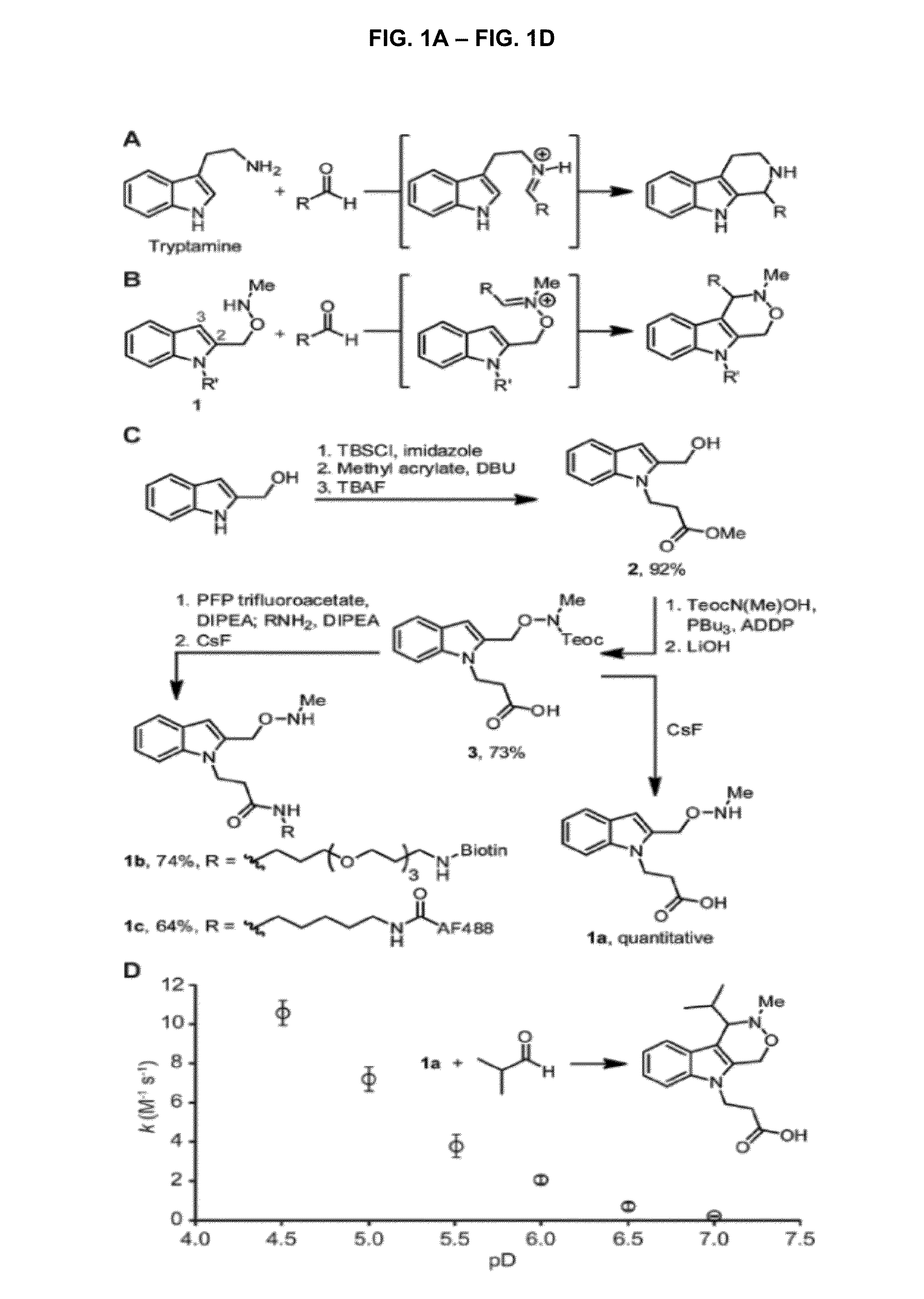 Pictet-spengler ligation for protein chemical modification