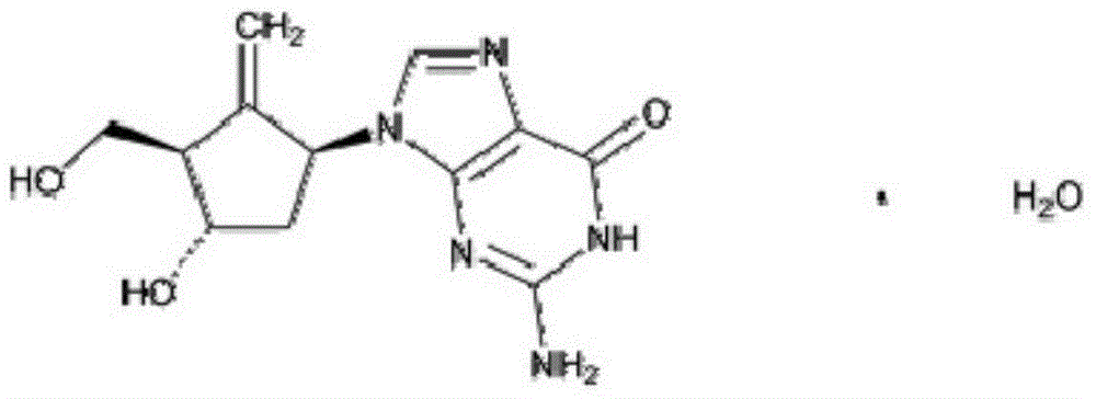 Entecavir and mannatide drug composition and preparation method thereof