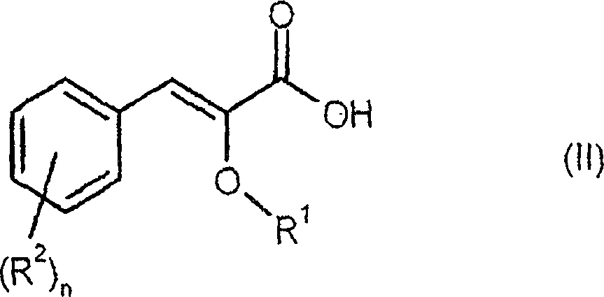 Process for preparing enantiomerically enriched 2-alkoxy-3-phenylpropionic acids