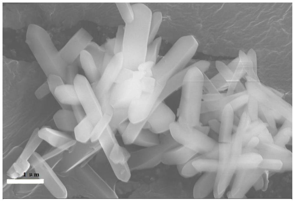 Mesoporous alumina ceramic coated diaphragm and preparation method thereof