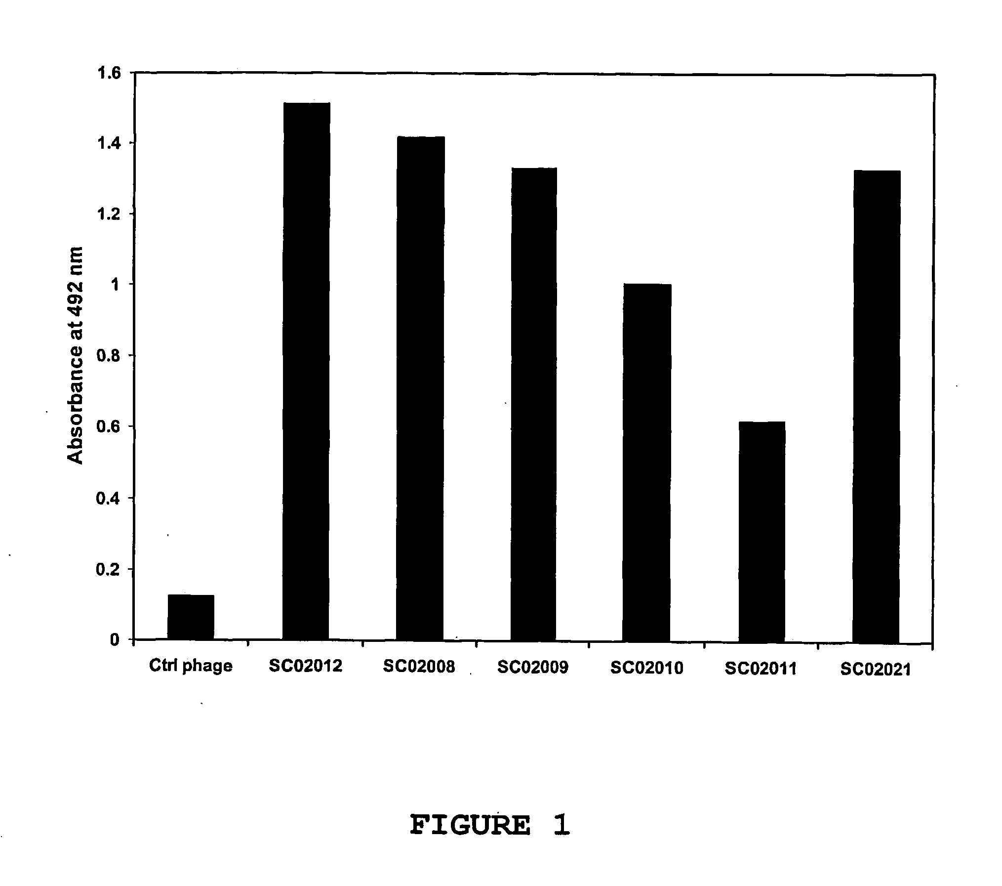 Agonistic Binding Molecules to the Human OX40 Receptor