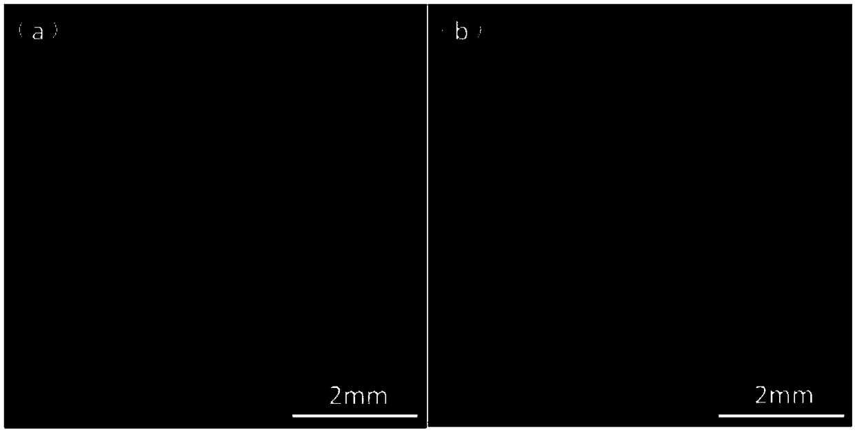 Corrosion fatigue crack propagation testing device with high-temperature high-pressure circulating water and application