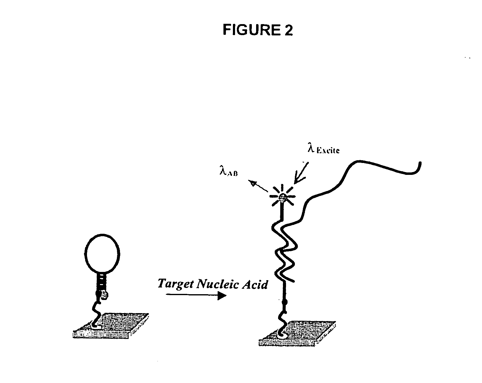 Methods and compositions for high throughput identification of protein/nucleic acid binding pairs