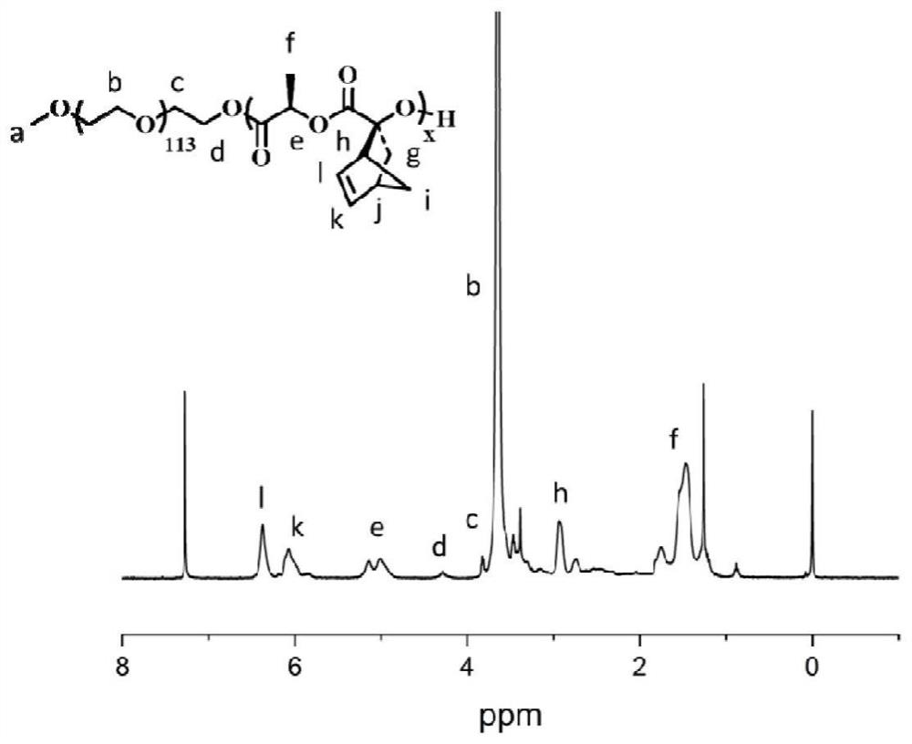 A polymer anti-tumor drug combined with angioblocker and immunomodulator and preparation method thereof