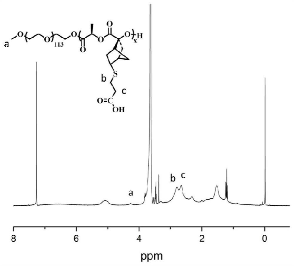 A polymer anti-tumor drug combined with angioblocker and immunomodulator and preparation method thereof