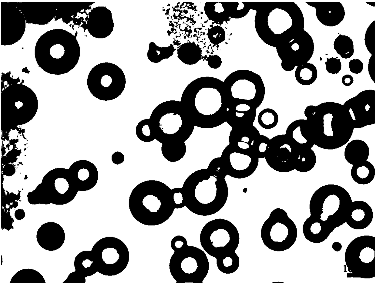 Methyl-bis-perfluorodecylsilicon-polyethoxy-naphthalenesulfonic acid sodium salt polynary compounds as well as preparation method and application thereof