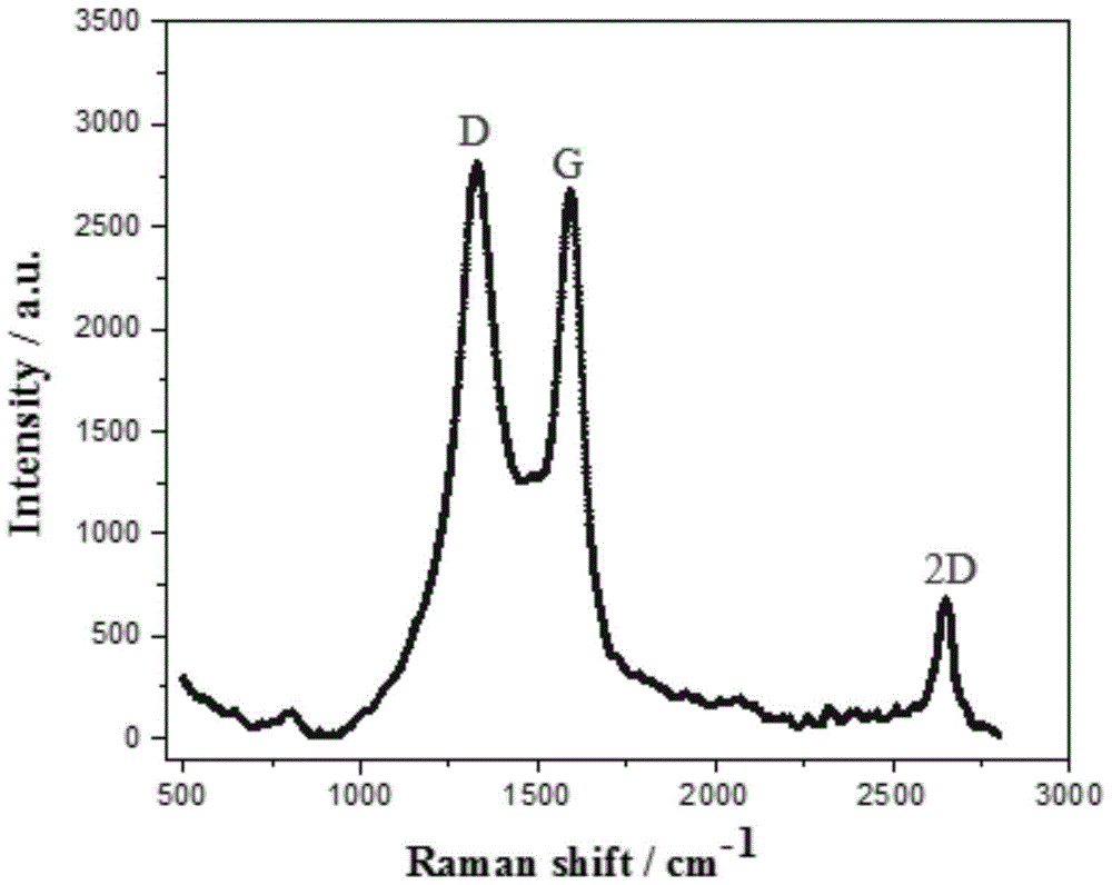 Fuel cell catalyst with nanographite carbon rivet structure and preparation method thereof