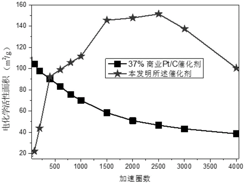 Fuel cell catalyst with nanographite carbon rivet structure and preparation method thereof