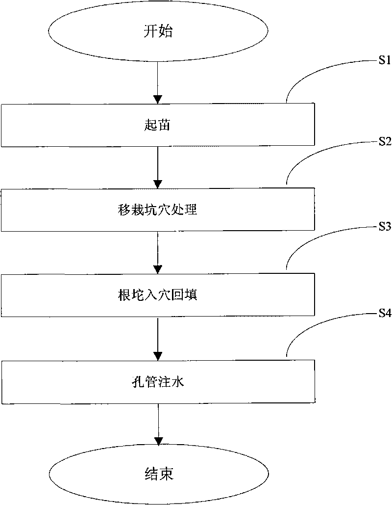 Method and system for transplanting big trees