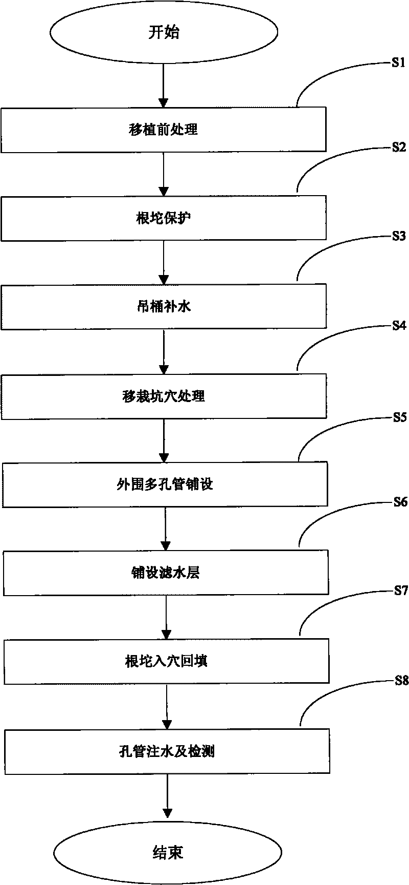 Method and system for transplanting big trees