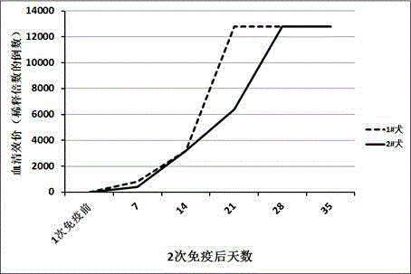 A canine parvovirus IgG antibody detection kit