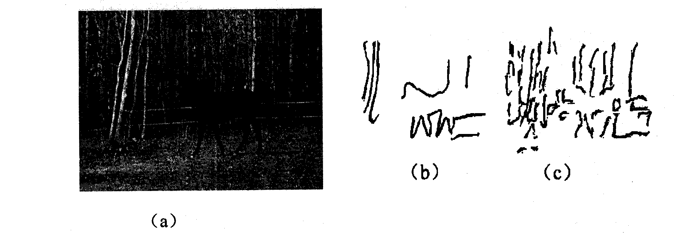 Method for extracting target closed contour based on shape prior