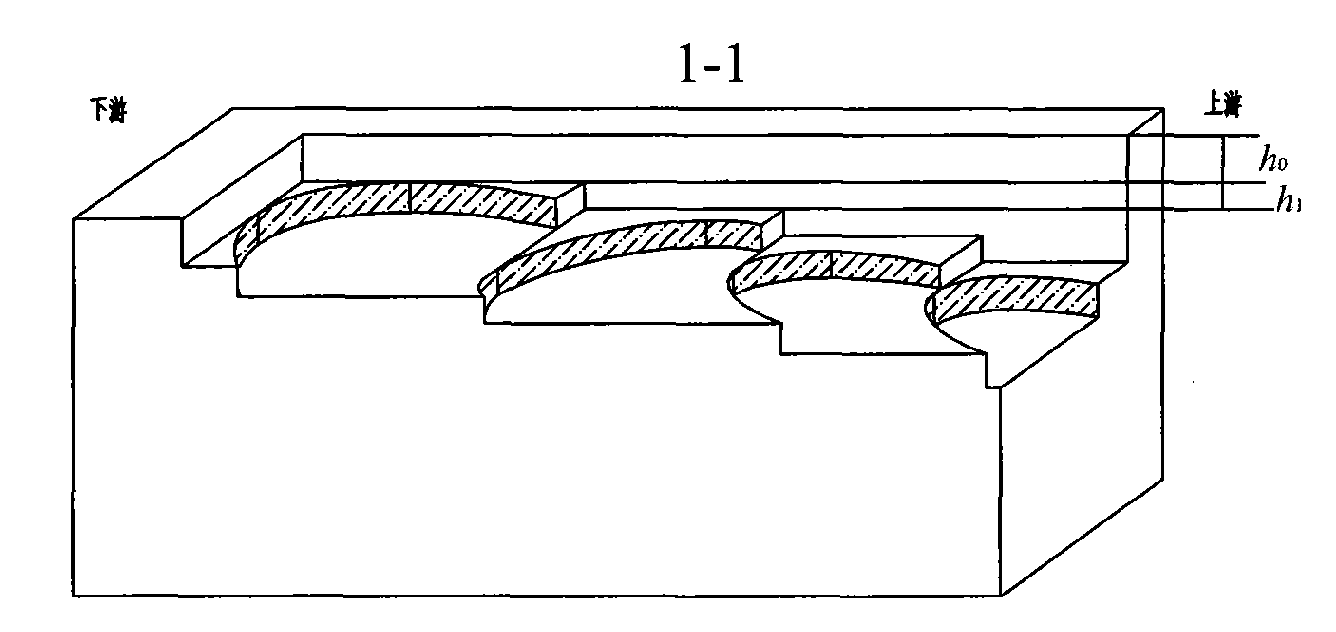 Gas end surface sealing structure with three-dimensional feather-like textured bottom shaped grooves