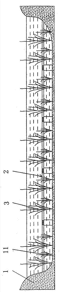 Ecological purification treatment method for hardened river channel water body