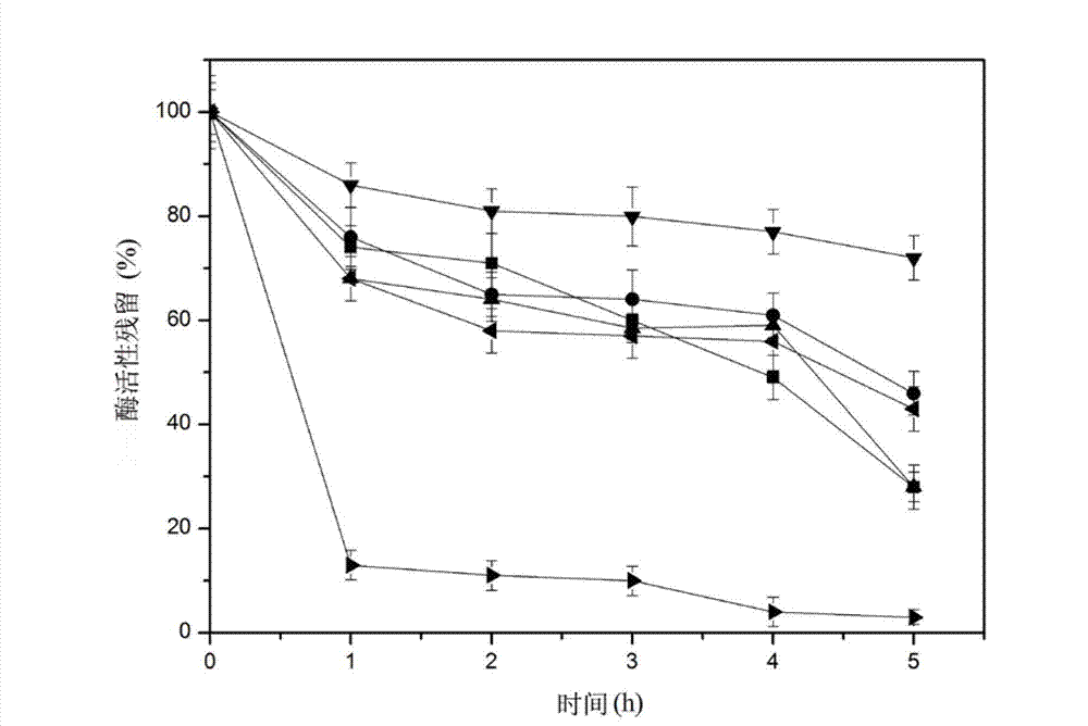 Oxidation resistive amylase mutant as well as preparation method and application thereof