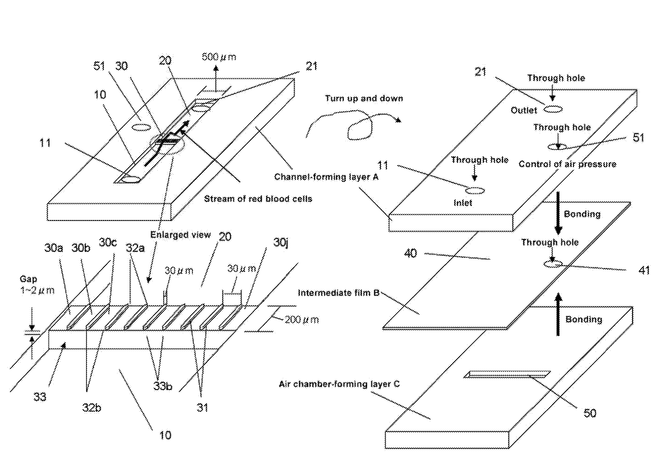 Recovering nucleated red blood cells and method for concentrating and recovering nucleated red blood cells