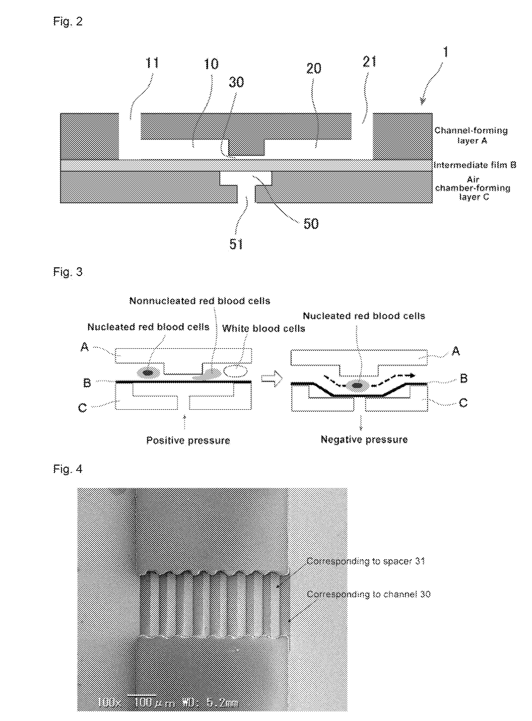 Recovering nucleated red blood cells and method for concentrating and recovering nucleated red blood cells