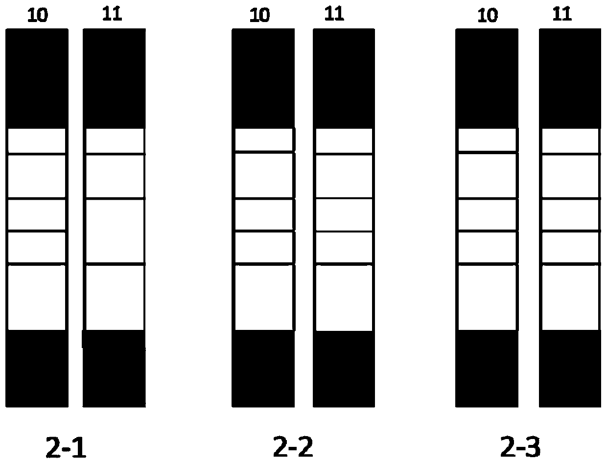 Colloidal gold immunochromatographic test strip for synchronously detecting diacetoxyscirpenol, deoxynivalenol and T-2 toxin