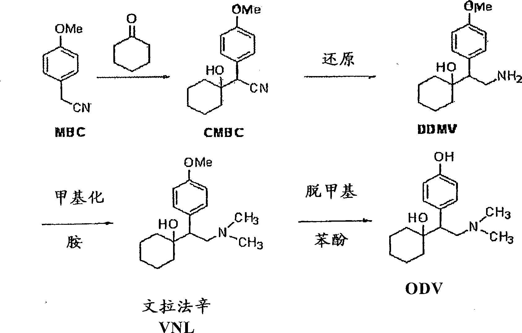 Substantially pure o-desmethylvenlafaxine and processes for preparing it