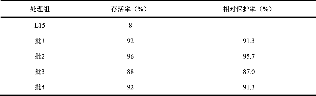 Spinner bottle production method of inactivated singapore grouper iridovirus (SGIV) vaccine