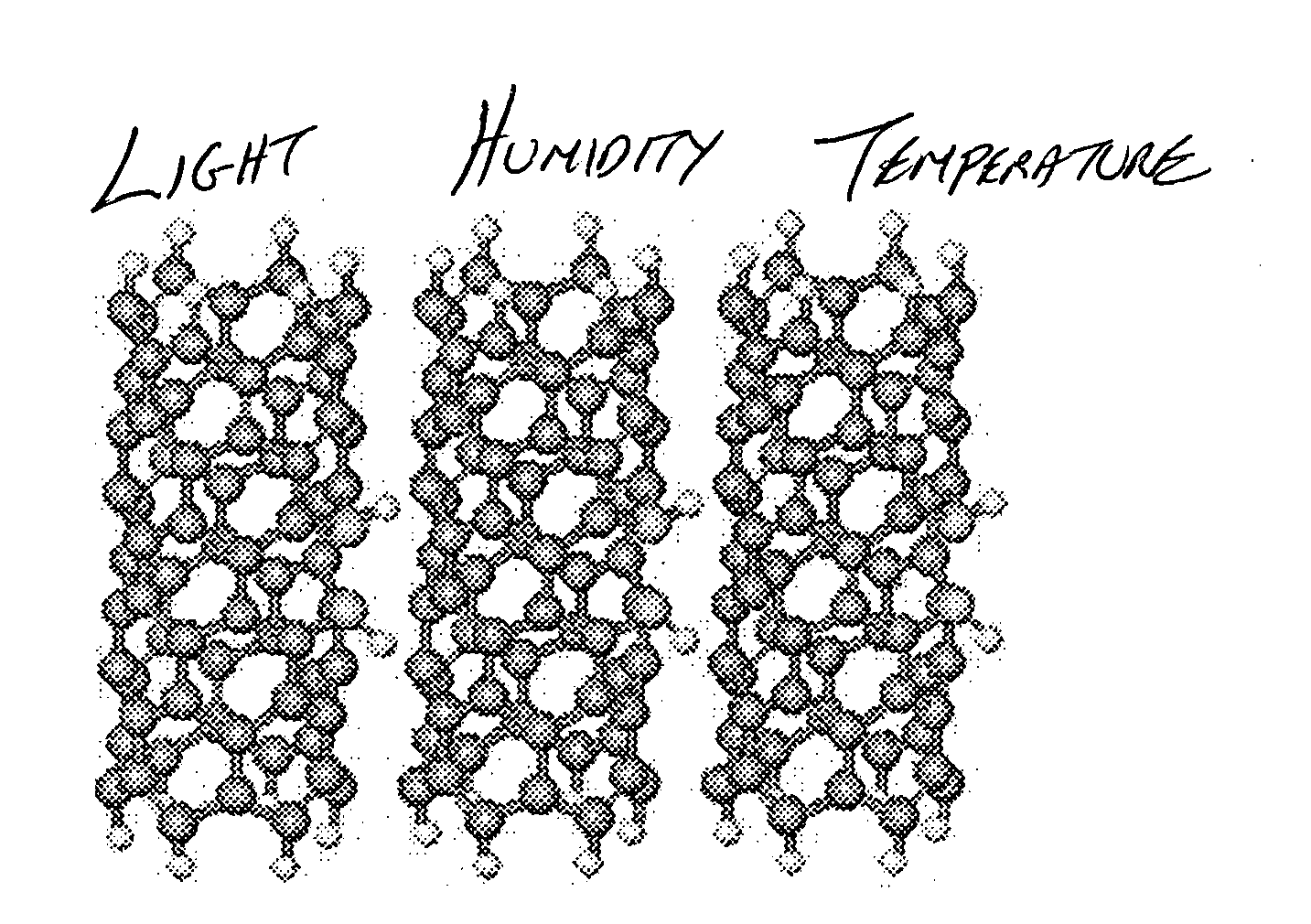 Defect controlled nanotube sensor and method of production