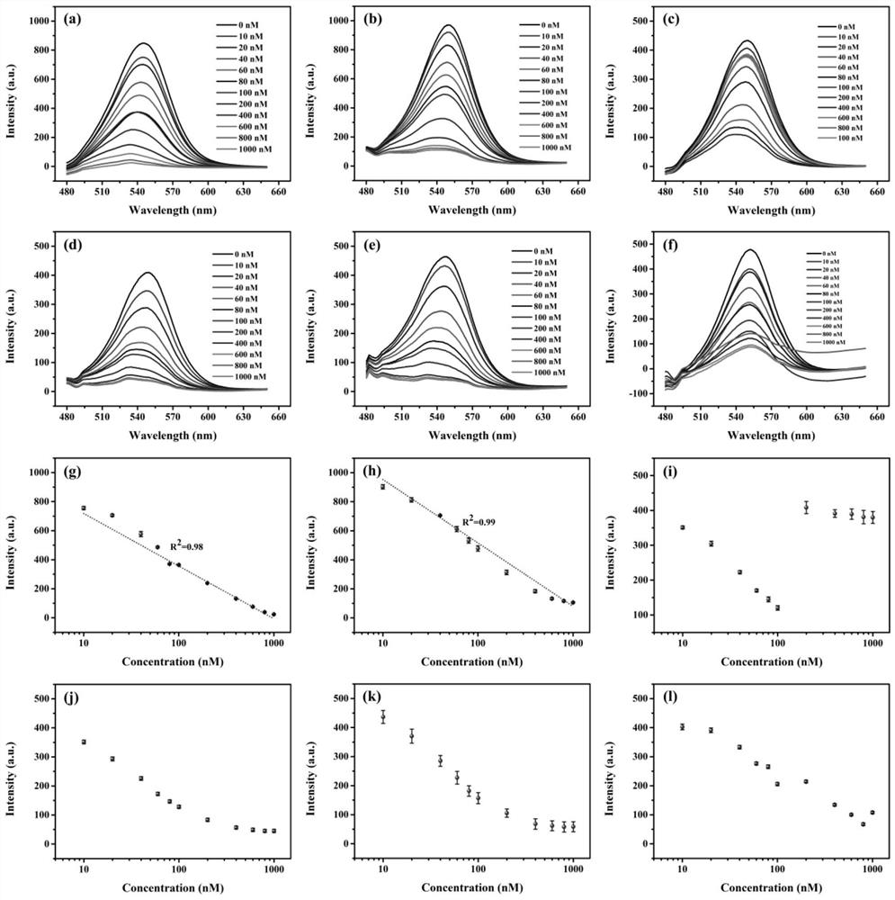 A copper ion detection method based on quantum dot-nanochannel