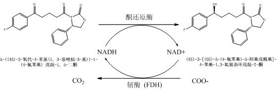 An improved ketoreductase and its application