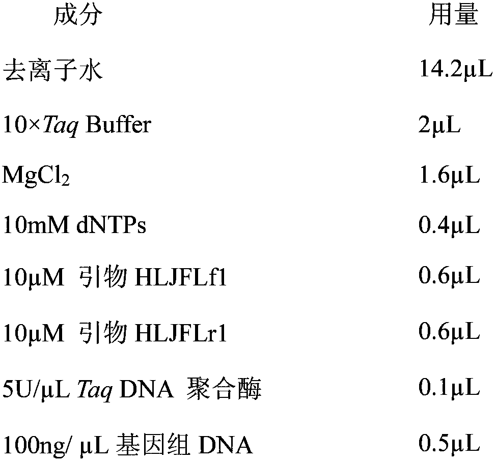 Molecular marker for distinguishing Heilongjiang megalobrama terminalis from southern megalobrama fishes, kit and distinguishing method