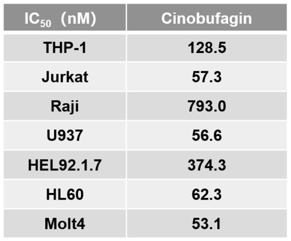 Application of cinobufagin in medicine for treating acute myelogenous leukemia