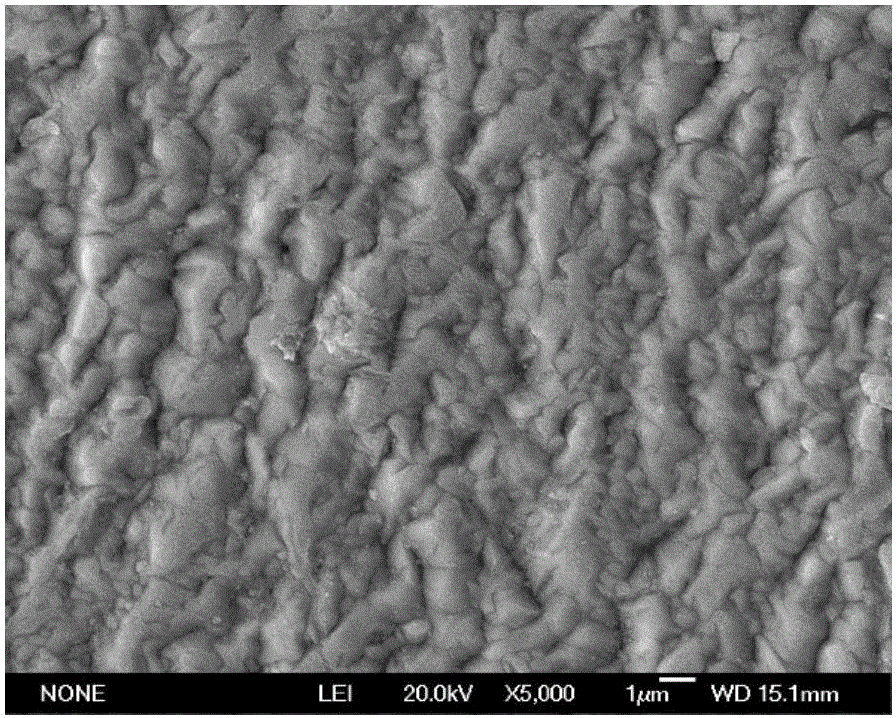 Preparation method of FeCrAl cladding layer on molybdenum alloy matrix