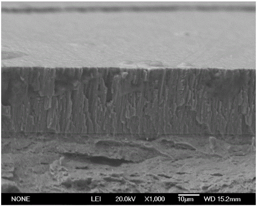 Preparation method of FeCrAl cladding layer on molybdenum alloy matrix