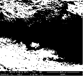 Additive for well cementing cement mortar, and preparation and application methods thereof