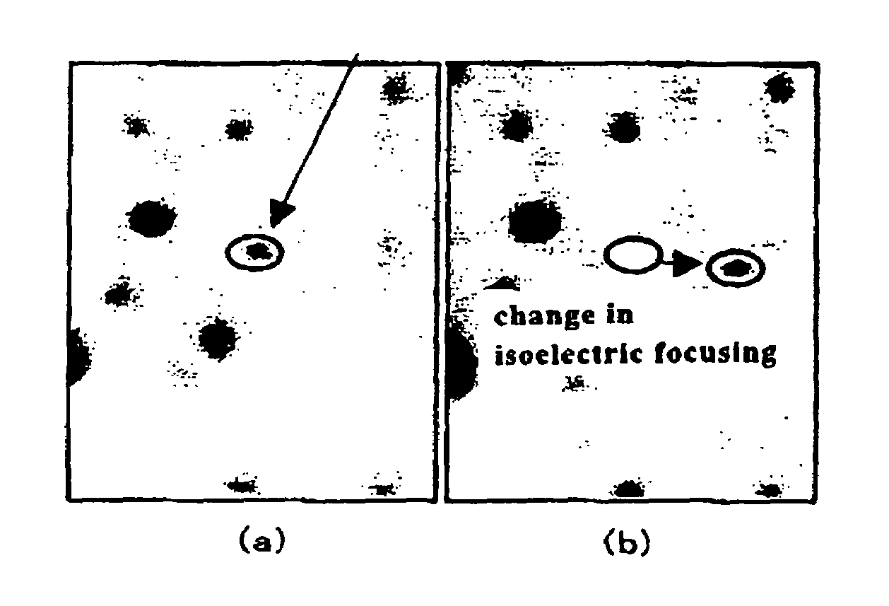 Method for identifying phosphoprotein