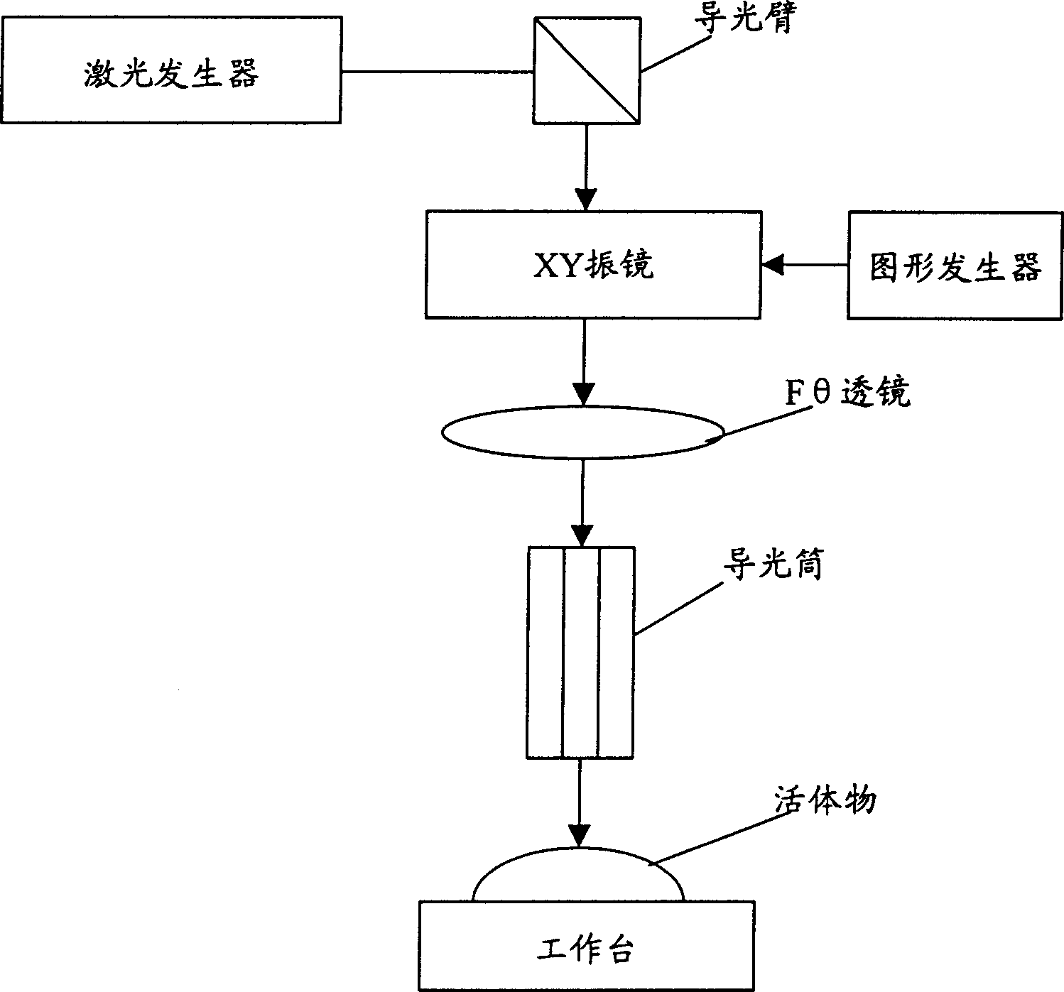 Method for marking on intravital crusta of animals by laser and its equipment