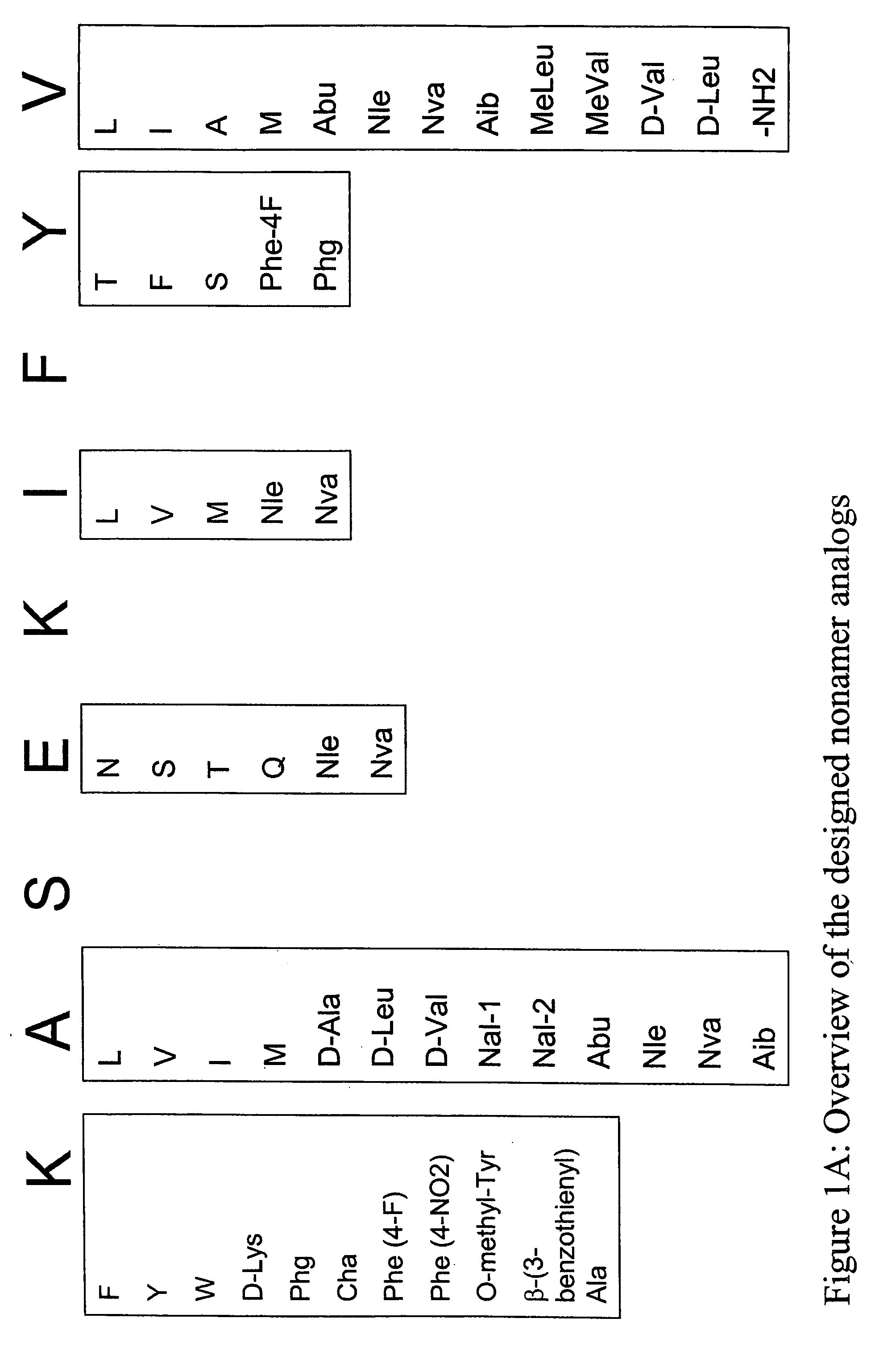 Epitope analogs