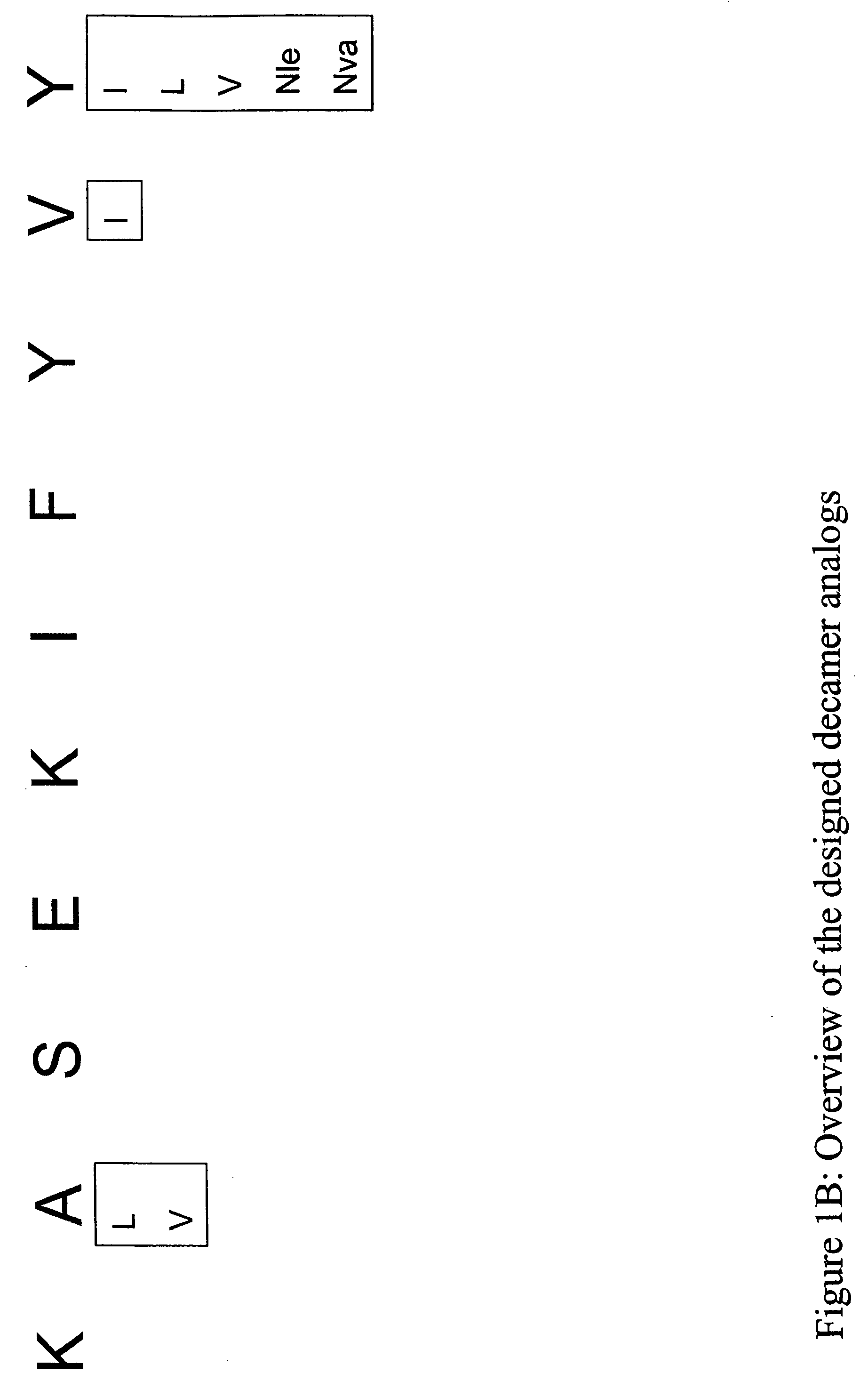 Epitope analogs