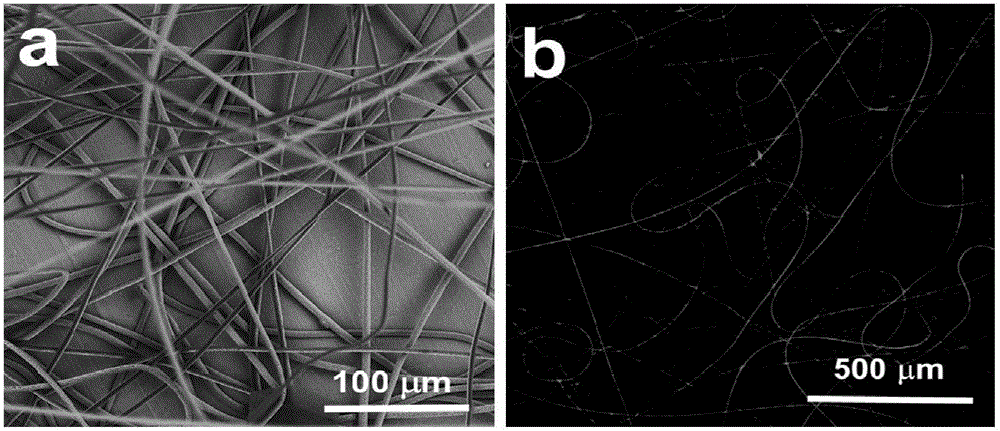 Composite fiber containing aggregation-induced luminescent molecules, preparation method thereof and application thereof