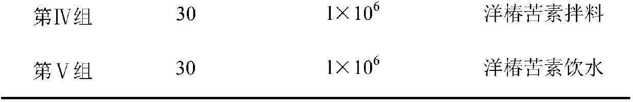 Application of cinnamonin in the preparation of anti-Cryptosporidium beinii medicaments