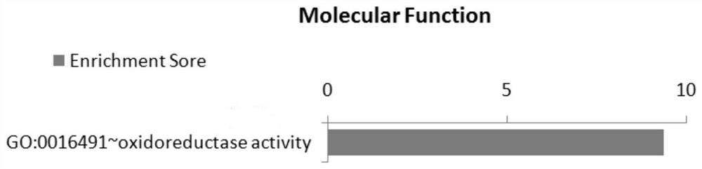 Application of snp site of clip3 gene