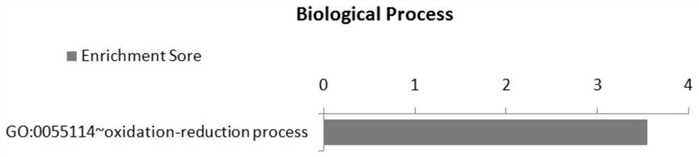 Application of snp site of clip3 gene